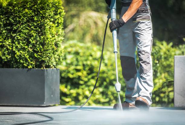 Best Roof Washing  in Standish, MI