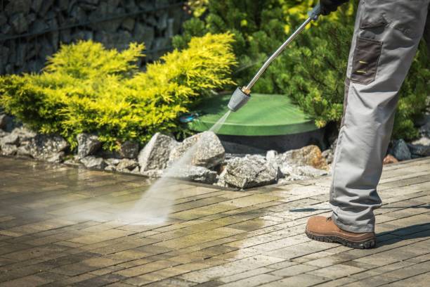 Best Dumpster Area Cleaning  in Standish, MI