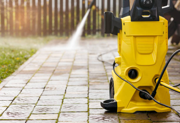 Animal Enclosure Cleaning in Standish, MI